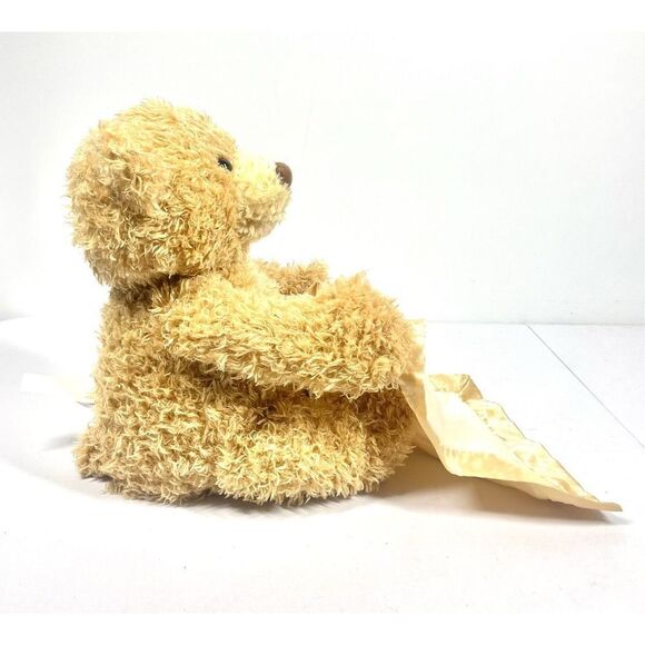 Baby Gund Peek A Boo Bear Interactive Stuffed Plush Animal Works! Talking Bear - Picture 6 of 8